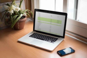 Desarrollo de programa de gestión para Riberinfo en Visual Basic .NET