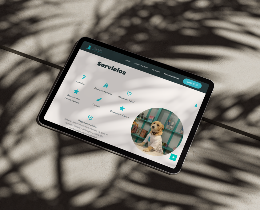 Diseño de página web para Arandaveterinaria