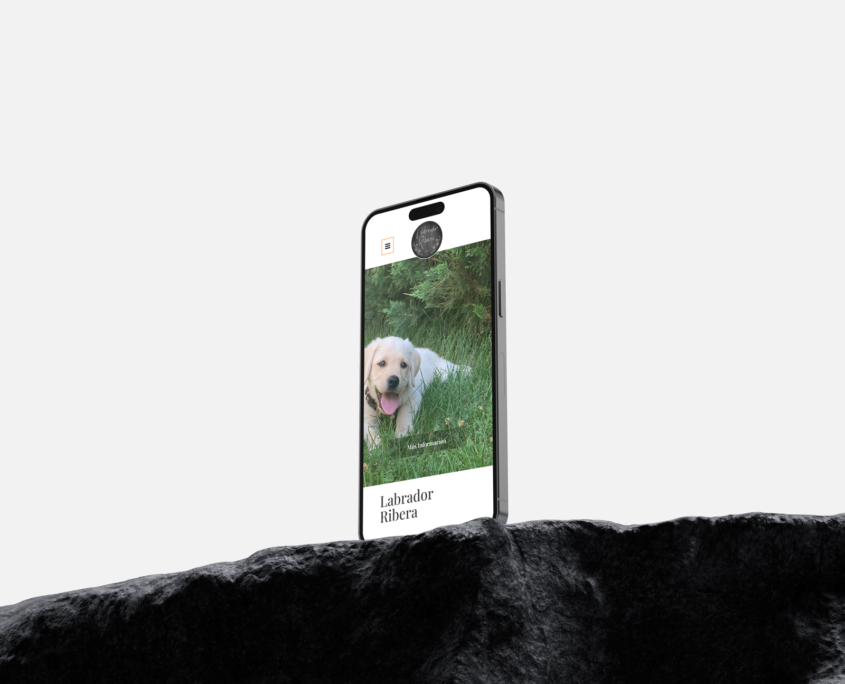 Diseño de página web para Labrador Ribera